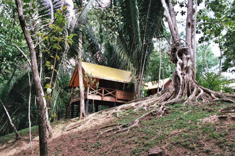 Macal River Camp | Hier übernachten Sie auf Ihrer Dschungeltour. | © Karibik Inside