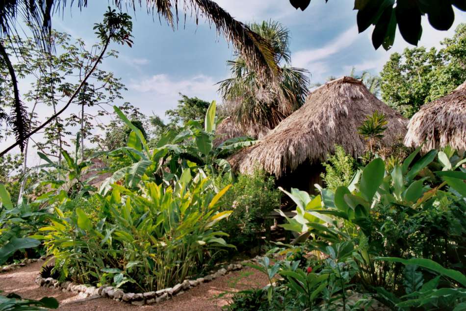 Lamanai Outpost Lodge | Cabanas im tropischen Garten | © Karibik Inside
