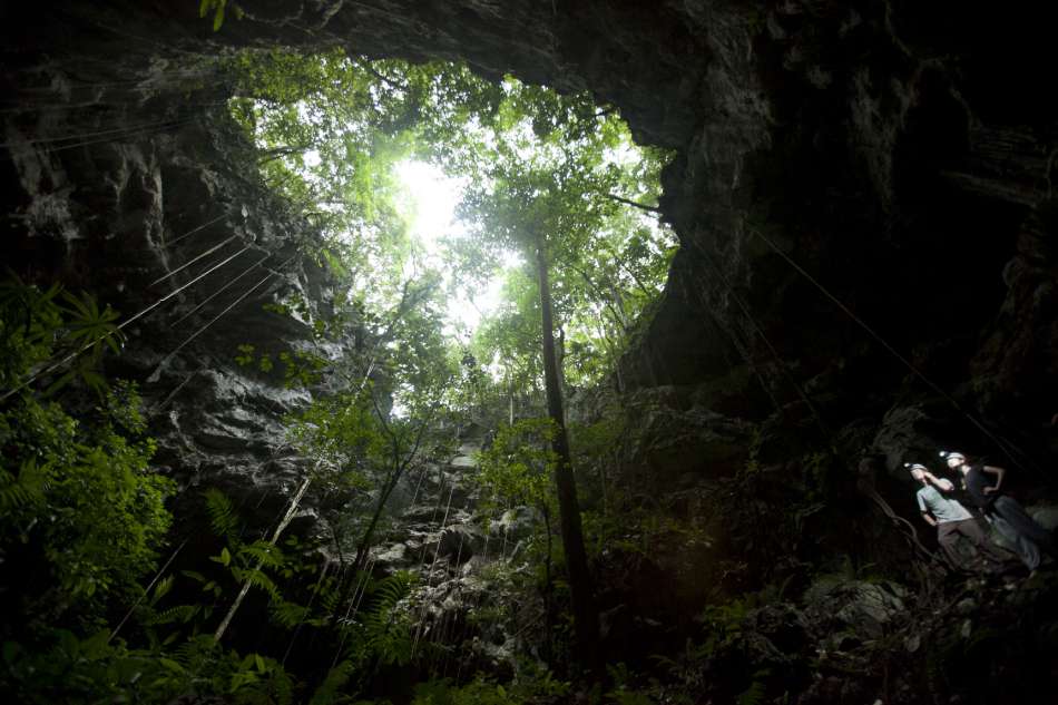Lost World Cave | Blick zum Tageslicht | © Caves Branch Adventure Company &amp; Jungle Lodge