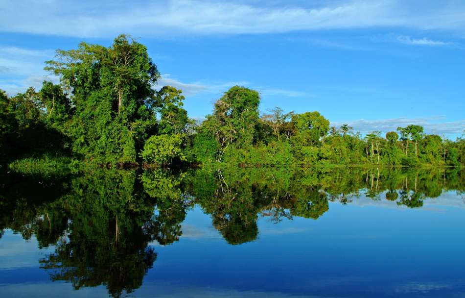 MV "Aria Amazon" | Regenwald - Panorama am Amazonas | © Aqua Expeditions